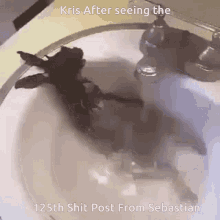 Kris Sebastian GIF - Kris Sebastian After Seeing The25th Shit Post From Sebastian GIFs