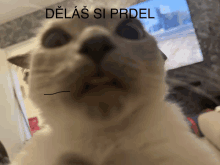 Delas Si Prdel GIF - Delas Si Prdel GIFs