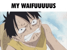 My Waifus One Piece GIF - My Waifus One Piece One Piece Meme GIFs