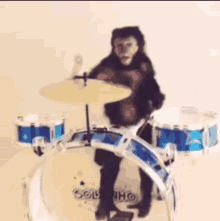 Monkey Drum GIF - Monkey Drum Music GIFs