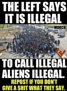 Illegal Democtats GIF - Illegal Democtats Repost GIFs