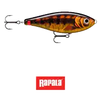 a rapala fishing lure with hooks attached to it is shown on a white background
