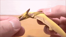 a person is holding a toy dinosaur in their hands and looking at it .
