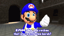 Smg4 Gee You Reckon That Was A Little Too Harsh GIF - Smg4 Gee You Reckon That Was A Little Too Harsh Too Harsh GIFs