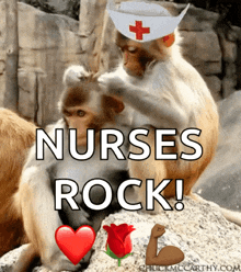 Nursesweek Nurseappreciation GIF - Nursesweek Nurseappreciation GIFs