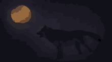 full moon wolf