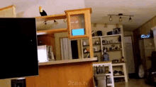Toucan Fly GIF - Toucan Fly Land On GIFs