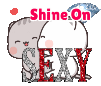 a sticker that says shine on sexy with a cat on it