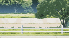 a white fence with trees in the background