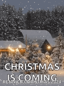 Christmas Tree GIF - Christmas Tree Snowy GIFs