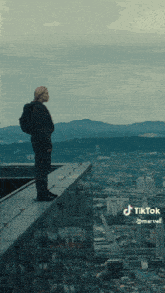 a man stands on the edge of a building overlooking a city and mountains
