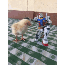 robot chicken