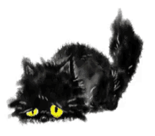 Animated Black Cat GIF - Animated Black Cat Peek A Boo GIFs