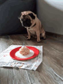 Pug Birthday GIF - Pug Birthday Yes GIFs