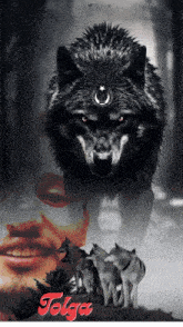 a wolf with a crescent moon on its head