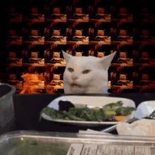 Smudge Smudge Cat GIF - Smudge Smudge Cat Smudge On Fire GIFs