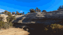 Bicycle Accident The Singletrack Sampler GIF - Bicycle Accident The Singletrack Sampler Fall Down GIFs
