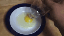 Separate Egg Yolks From Egg Whites Like Magic!! GIF - Egg Yolk Separate GIFs
