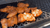 Bbq Grilling GIF