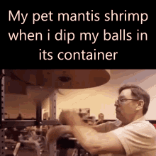 Mantis Shrimp GIF - Mantis Shrimp Balls GIFs