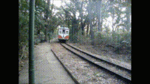 lagoa taquaral silvaaa travel train