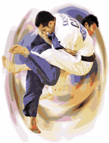 Judo Judo Throw GIF - Judo Judo Throw GIFs