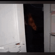 a picture of a person standing in a dark room with the word ribs on the bottom .