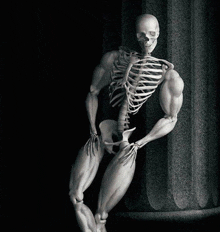 Skeleton Roomysteam GIF - Skeleton Roomysteam GIFs