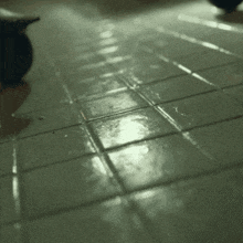 a cat is standing on a tiled floor