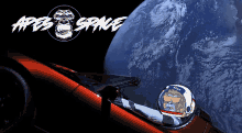 Apes Of Space Aos GIF - Apes Of Space Aos Chill GIFs