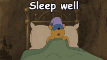 Sleep Well Good Night GIF - Sleep Well Good Night Pooh GIFs