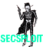 Secsploit Skeleton Sticker - Secsploit Skeleton Gun Stickers