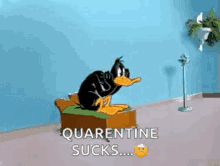 Daffy Duck Looney Tunes GIF - Daffy Duck Looney Tunes Nervous GIFs