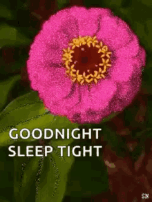 Sleep Tight Goodnight GIF - Sleep Tight Goodnight Sparkles GIFs