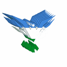 somalia eagle