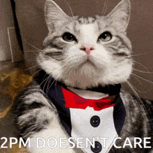 a cat wearing a tuxedo and bow tie says 2pm doesn 't care