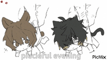 a couple of drawings of a boy and a cat with the words " piecieful evening " on the bottom