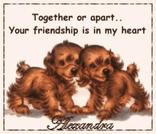 Friendship Alexandra GIF - Friendship Alexandra Dogs GIFs
