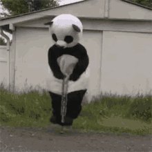 Panda Pogo GIF - Panda Pogo Stick GIFs