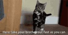Take Your Brother GIF