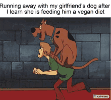 Shaggy Scooby GIF - Shaggy Scooby GIFs
