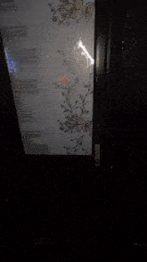 a person is opening a door that has a floral design on it