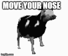 Nose Nose Mover GIF
