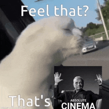 Cat Cat Meme GIF - Cat Cat Meme Absolute Cinema GIFs