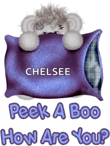 a teddy bear is laying on a purple pillow with the name chelsea written on it .