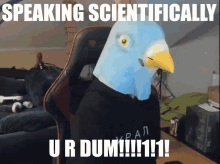Facts Facts Meme GIF - Facts Facts Meme Pigeon GIFs