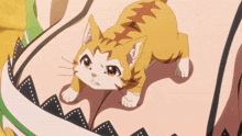 a cat is crawling on a person 's chest