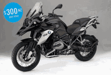 Motorcycle Hire New Zealand Motorbike Hire New Zealand GIF - Motorcycle Hire New Zealand Motorbike Hire New Zealand GIFs