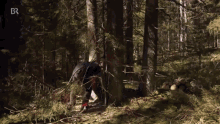a man wearing a helmet and a black shirt is walking through a forest .