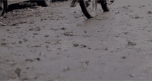 Motorcycle Ride GIF - Motorcycle Ride GIFs